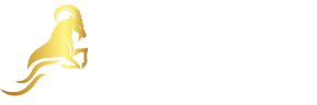 Visionaries Academy